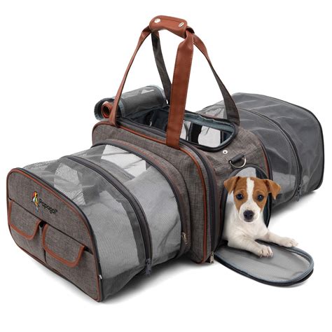 Comparing hard-sided and soft-sided pet carriers: pros and cons